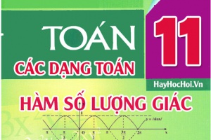 [Đầy đủ] Các dạng toán về hàm số lượng giác và bài tập Toán 11